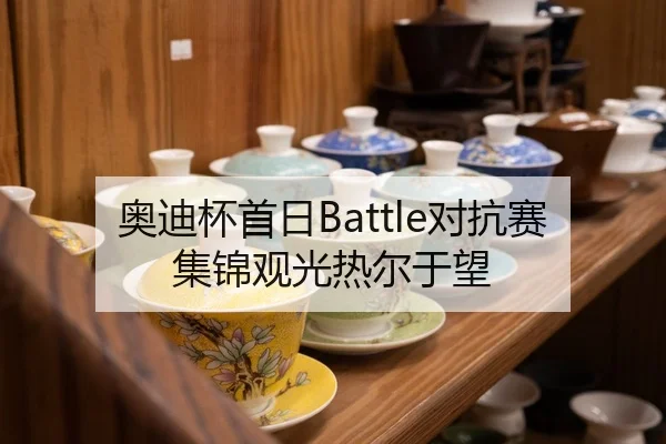 奥迪杯首日Battle对抗赛集锦观光热尔于望 - manguan